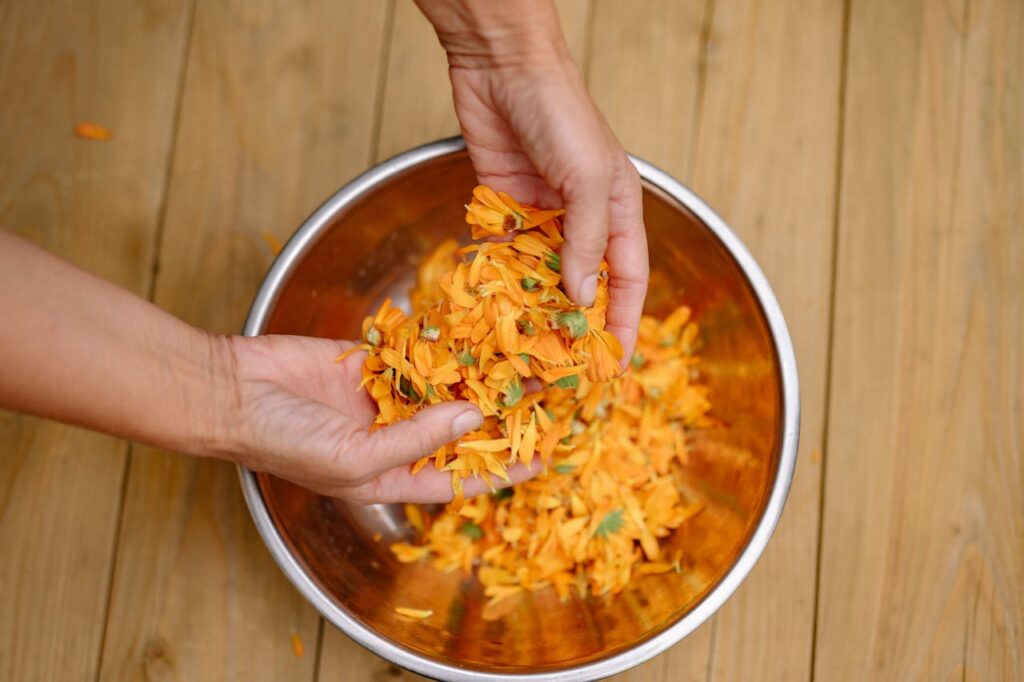 Calendula FLowers of Medicinal Herb Garden